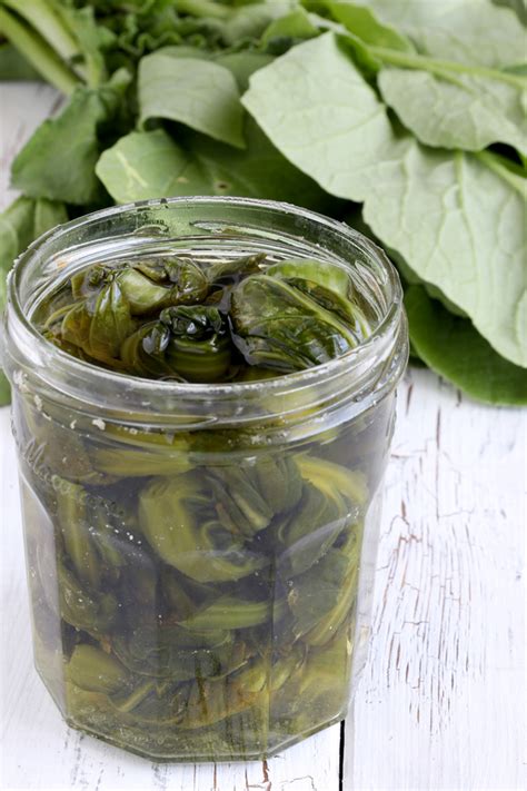 Pickled Mustard Greens (Burong Mustasa) - Foxy Folksy