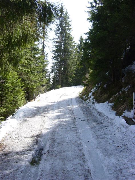 Mountain snowy road Free Photo Download | FreeImages