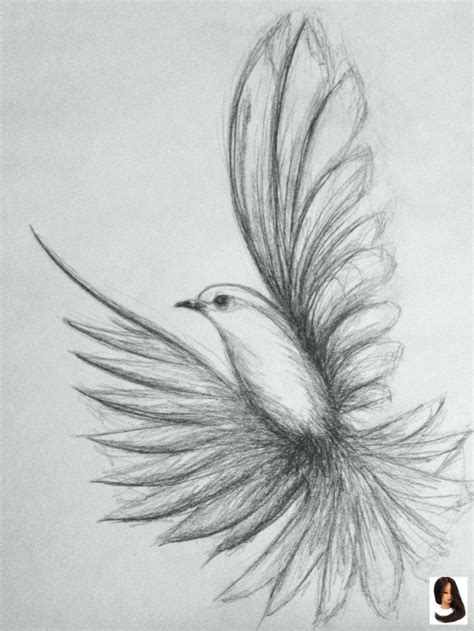 #drawing ideas pencil sketch #fliegender #Shazzad68 #Vogel #Zeichnung ...