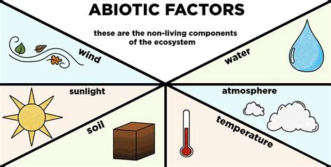 Abiotic Components of Ecosystems — Definition & Examples - Expii