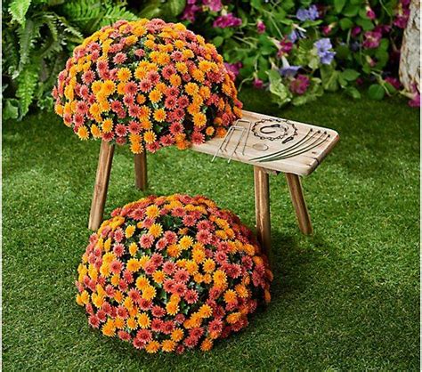 Wicker Park Single 16" Faux Mum Indoor/Outdoor Garden Sphere - QVC.com | Garden spheres, Outdoor ...