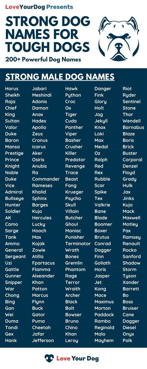 Tough Dog Names: 200+ Strong & Powerful Names For Male Dogs | Dog names, Dog names male, Tough ...