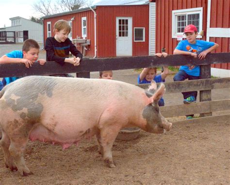 Step back into farm life 75 years ago at Frying Pan Park - The Washington Post