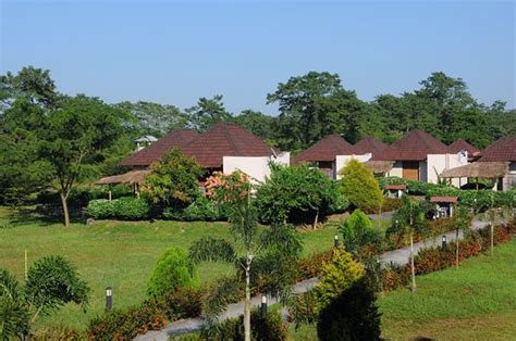 MUSA JUNGLE RETREAT (AU$95): 2024 Prices & Reviews (Manas National Park ...