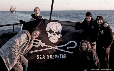 Resting Sea Shepherd: A Pause In The Whale War Saga| Countercurrents