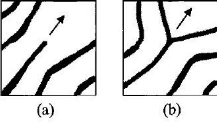 Types of fingerprint minutiae and their respective directions. (a) an... | Download Scientific ...