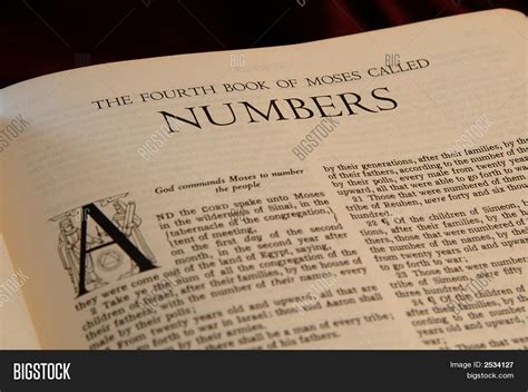 Books Bible Numbers Image & Photo | Bigstock