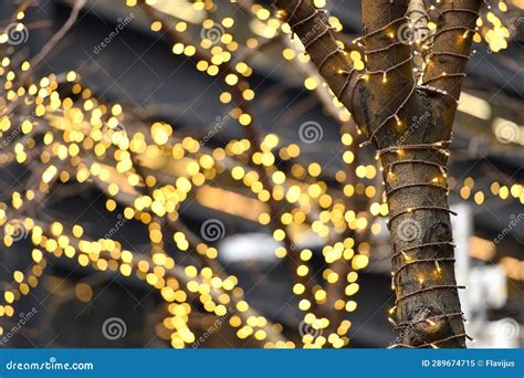Round small bulbs glowing stock image. Image of creative - 289674715