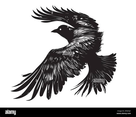 Raven flying silhouette hand drawn sketch illustration Stock Vector Image & Art - Alamy