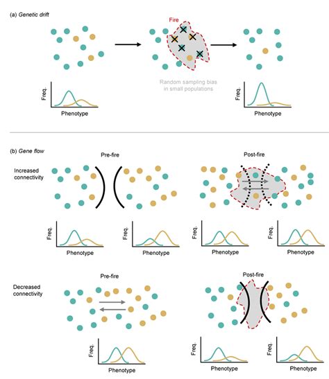 Fire-induced genetic drift and changes to gene flow. (A) Environmental... | Download Scientific ...