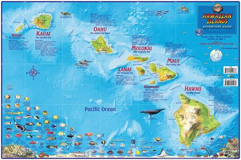 Hawaii Wall Map - Hawaiian Islands Laminated Poster – Franko Maps