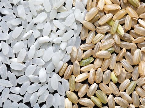 A Guide to Rice Varieties - Cooks Pantry