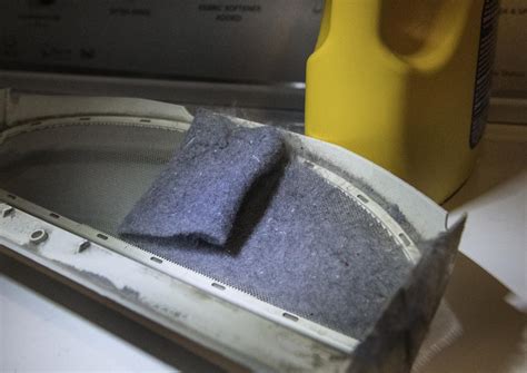 Dryer Lint Filter [IMAGE] | EurekAlert! Science News Releases