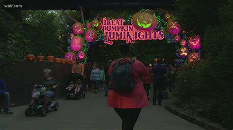 Dollywood's pumpkin spice funnel cakes have returned, y'all! | wbir.com