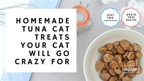 Homemade Tuna Cat Treats Your Cat Will Go Crazy For | Diy cat treats, Cat treats homemade, Cat ...