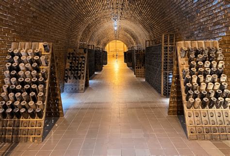 Ruta del Vino: TOP 7 Mejores Bodegas en Mendoza - vuelteando.com