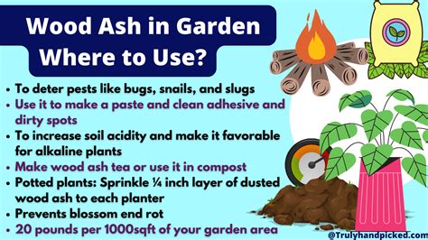 Are Ashes Good for Plants? Wood Ash as Fertilizer -Plant Care 365