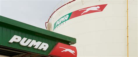 Global Energy Solutions for People & Communities | Puma Energy