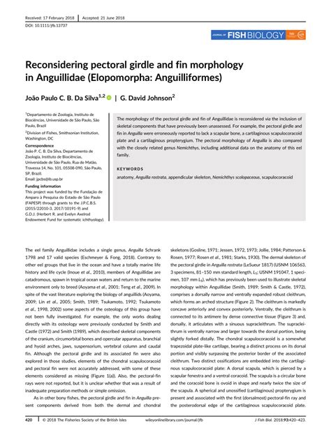 (PDF) Reconsidering pectoral girdle and fin morphology in Anguillidae (Elopomorpha: Anguilliformes)