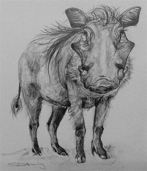 Warthog Animal Paintings, Animal Drawings, Bugs Bunny Drawing, Bass Fishing Shirts, Creative ...