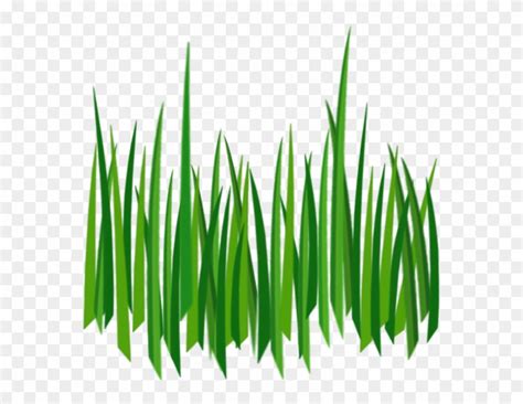 Tall Grass Drawing | Free download on ClipArtMag