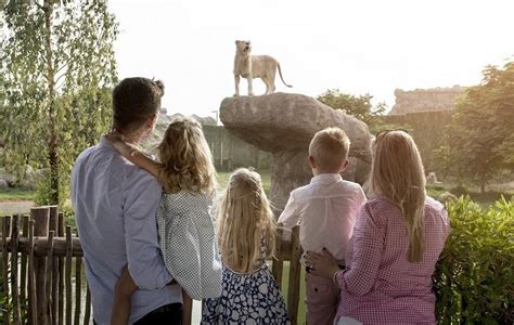 Discover Dubai Safari Park: A Wild Journey into Nature's Heart