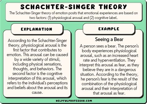 Schachter-Singer Theory - Examples and Definition (2024)