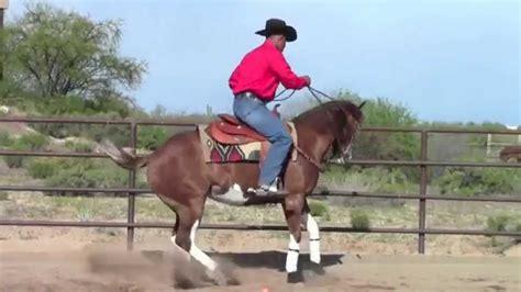 Matt Mills Reining PERFECT A ROLLBACK IN LESS THAN 90 SECONDS - YouTube