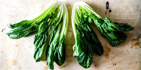 Tatsoi (Rosette Bok Choy)