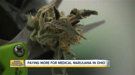 Where are Ohio's medical marijuana dispensaries? | thcscout.com