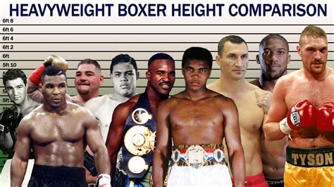 Heavyweight Boxers Height Comparison - YouTube