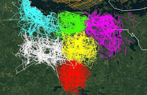 GPS Map Composed of 68,000 Pinpoints Tracks the Territorial Nature of Minnesota Wolves — Colossal