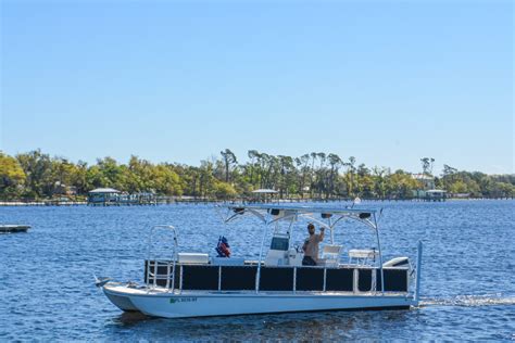 Dolphin Tours - Snorkel with Dolphins - Papa Joe's Pontoons