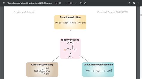 The mechanism of action of N-acetylcysteine (NAC) | Excel Male TRT Forum