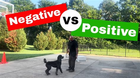 Pet dog training / negative reinforcement vs positive reinforcement / one is always available ...