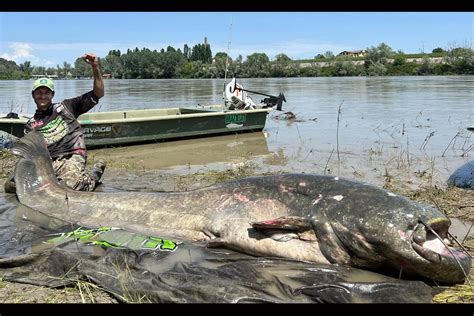 The Biggest Wels Catfish of All Time | Field & Stream