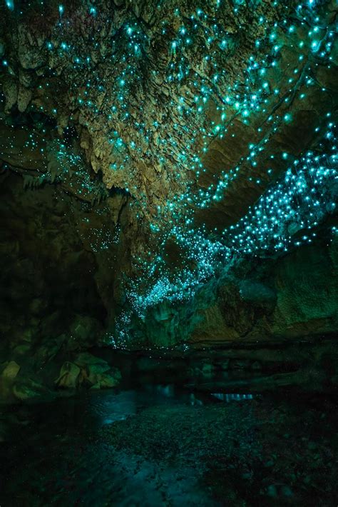 Waipu Glow Worm Caves, New Zealand, Sony a7rII Samyang 18mm f/2.8 : r/SonyAlpha