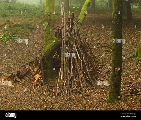 wooden Bivouac shelter in the woods Stock Photo - Alamy