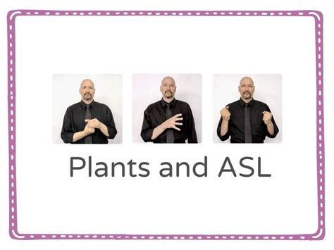 Plants and ASL Free Games online for kids in Nursery by Caldonia Wilding