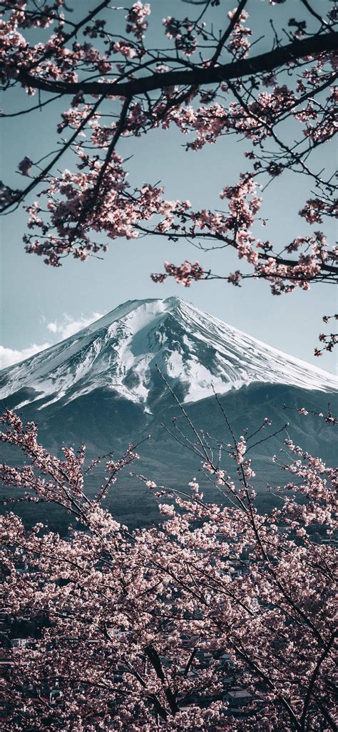 How high is a Japanese mountain Wallpaper Fofos, Ps Wallpaper, Scenery ...