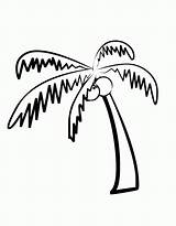 Palm Tree Coloring Pages For Kids  Home sketch template