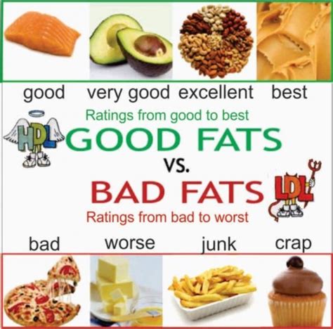 Fats | Healthy Fats and Unhealthy Fats | PMF IAS