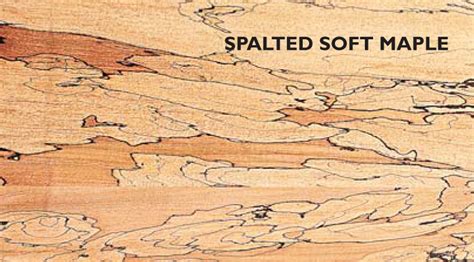 Spalted Wood | Popular Woodworking Magazine