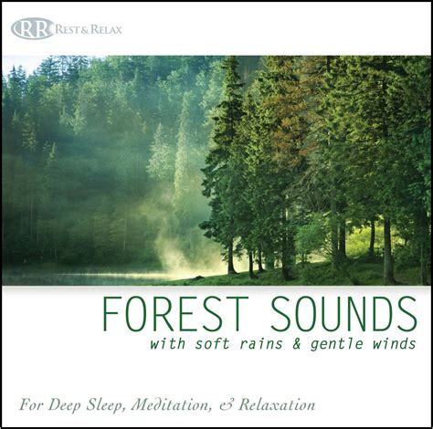 Forest Sounds: with Soft Rains & Gentle Winds (Nature Sounds, Deep ...