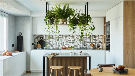 How Hanging Plants In Your Kitchen Can Help Promote Good Feng Shui