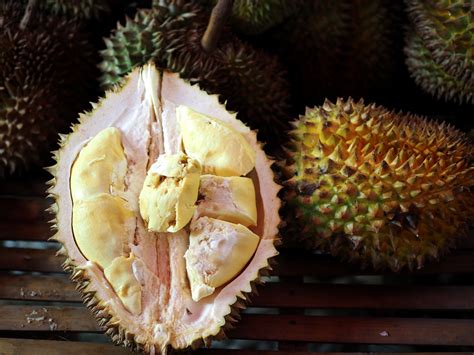 Philippines Durian Varieties Updated