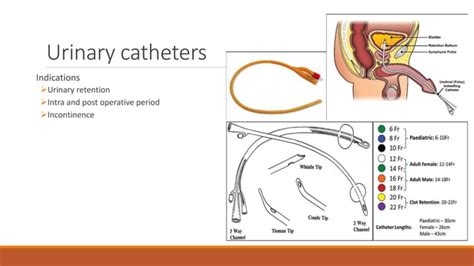 Surgical Drains | PPT