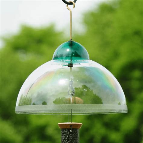 7 Top-Rated Bird Feeder Squirrel Baffles - Birds and Blooms