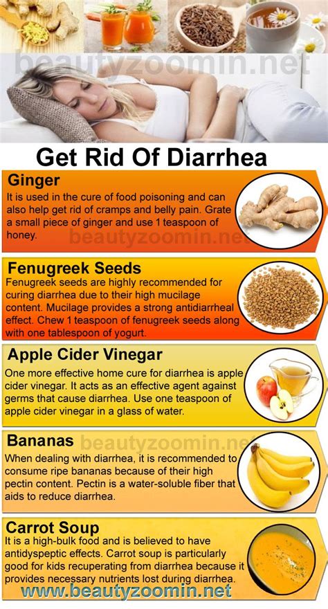 Foods To Help Diarrhea | Examples and Forms