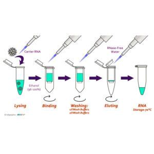 Plant DNA extraction Kit - ZELLX®